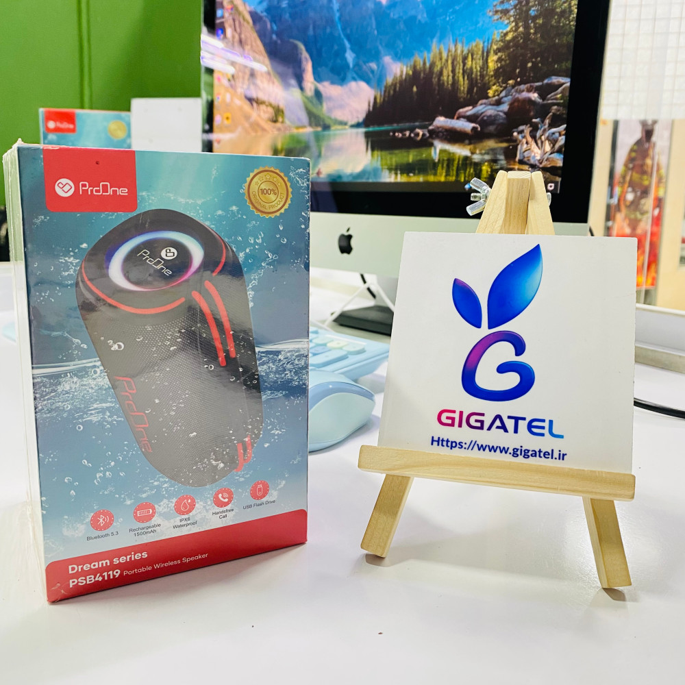 اسپیکر بلوتوثی قابل حمل پرووان ProOne PSB4119 ده وات واقعی - نمای کلی